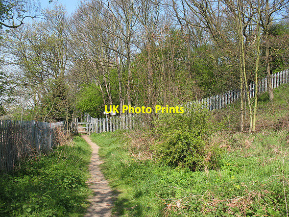 Photo 6"x4" Footpath to Gilbert's Pit Greenwich\/TQ3977 c2010