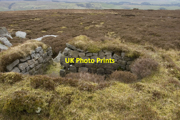Photo 6"x4" Shooting butt above Tarnsyke Tarnbrook c2010