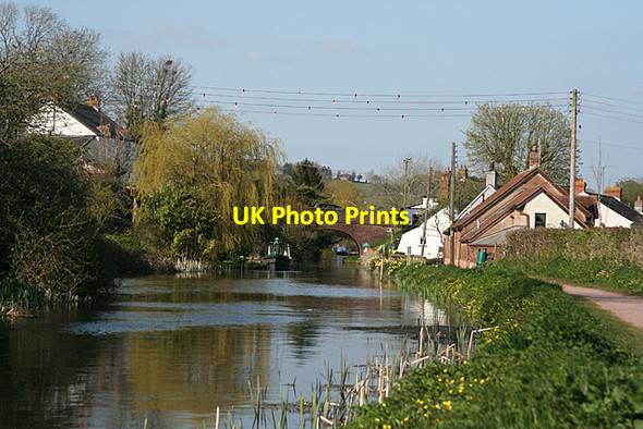 Photo 6"x4" Sampford Peverell: Grand Western Canal 3 Sampford Peverell c2010