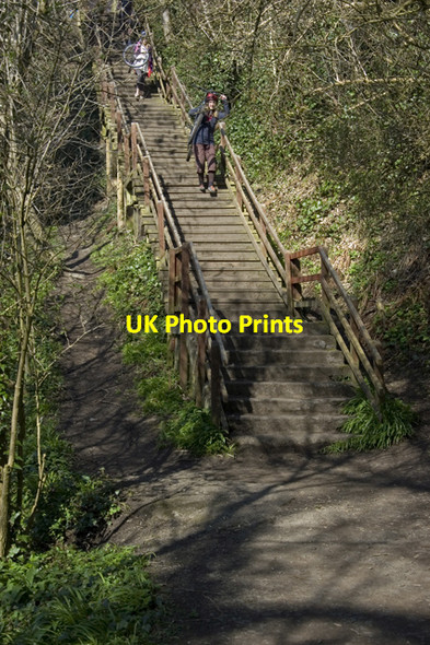 Photo 6"x4" Walkway by the River Cramond Cramond c2010