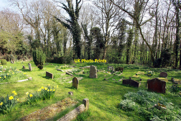 Photo 6"x4" St Peter & St Paul, Chaldon, Surrey  - Churchyard Chaldon c2010