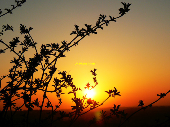 Photo 6"x4" Sunset under Liddington Hill, Swindon Liddington c2010