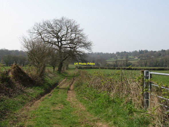 Photo 6"x4" Footpath SW to Reeding's Farm Five Ash Down c2010