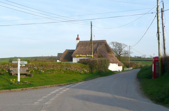 Photo 6"x4" Thatched cottage and road junction, Caute, Shebbear Caute c2010