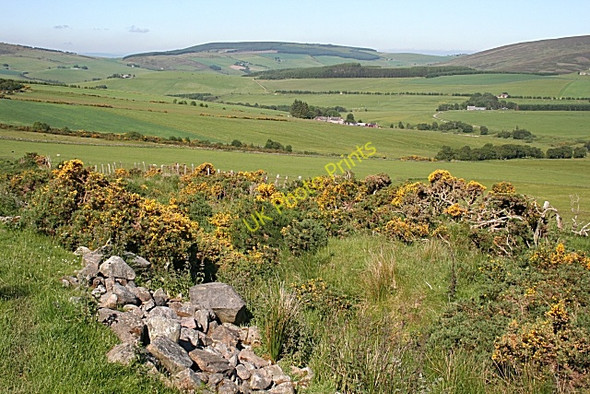 Photo 6"x4" Looking Towards Upper Enoch Dufftown c2009