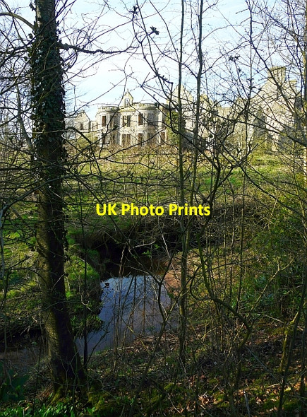 Photo 6"x4" Shell of Kirklinton Hall seen through trees Kirklinton c2010