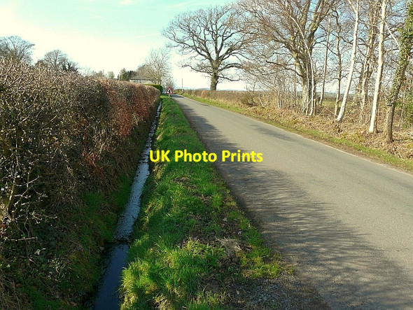 Photo 6"x4" Hedge and ditch Hetherside c2010