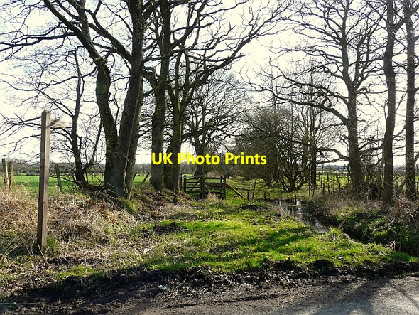 Photo 6"x4" Start of footpath to High Knells Longpark\/NY4362 c2010