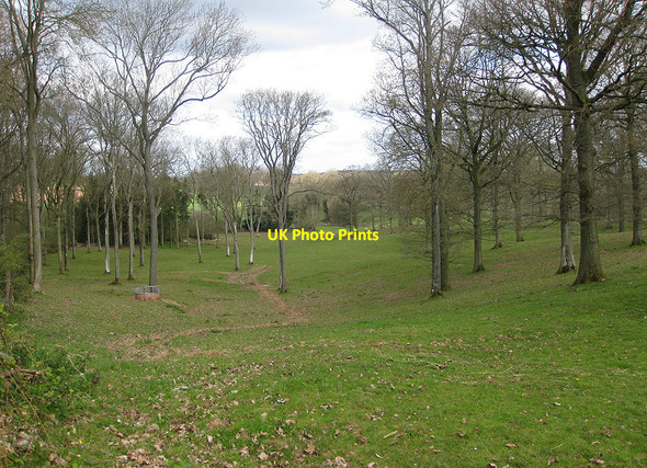 Photo 6"x4" Withymoor Wood Beavan's Hill c2010