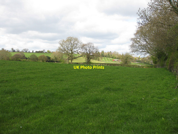 Photo 6"x4" Lush pasture by Withymoor Wood Beavan's Hill c2010