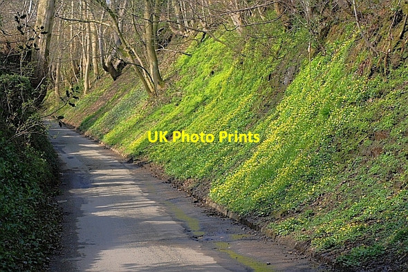 Photo 6"x4" Aston Lane Aston\/SK1883 c2010