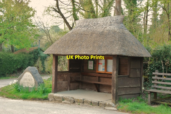 Photo 6"x4" Litton Cheney: Thatched Shelter Litton Cheney c2010