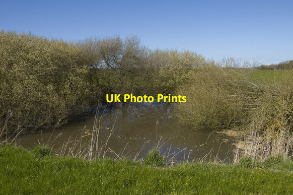 Photo 6"x4" Pond by Mile Road Singleton\/SD3838 c2010