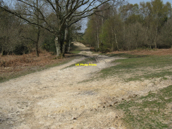 Photo 6"x4" Footpaths and tracks on the southern edge of Ashdown Forest Duddleswell c2010