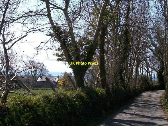 Photo 6"x4" Cefn y meusydd uchaf from the lane linking the A487 and the A497 Criccieth c2010