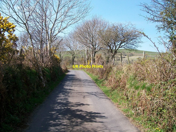 Photo 6"x4" The lane to Pentrefelin south of Cefn meusydd uchaf Criccieth c2010