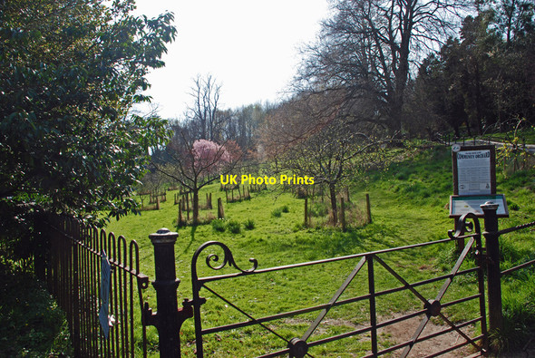 Photo 6"x4" Community Orchard, Grange over Sands Grange-Over-Sands c2010