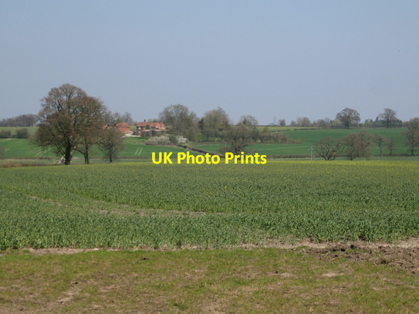 Photo 6"x4" Oilseed rape by Old Green Lane: 2 Oldwich Lane c2010
