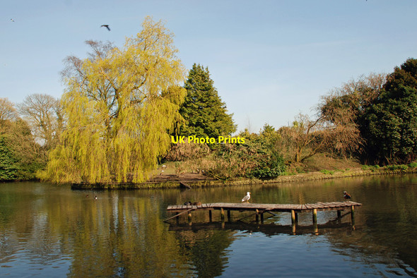 Photo 6"x4" Ornamental Gardens, Grange over Sands Grange-Over-Sands c2010