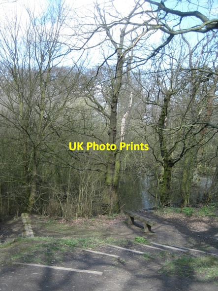 Photo 6"x4" Around Stanley Marsh Nature Reserve (1) Stanley\/SE3424 c2010