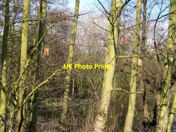 Photo 6"x4" Around Stanley Marsh Nature Reserve (6) Stanley\/SE3424 c2010