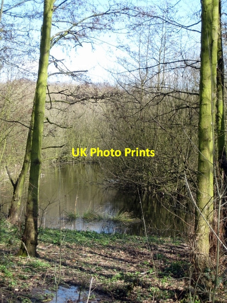 Photo 6"x4" Around Stanley Marsh Nature Reserve (7) Stanley\/SE3424 c2010