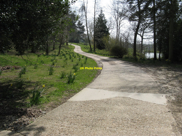 Photo 6"x4" Landscaping by private road to Stroods Heron's Ghyll c2010