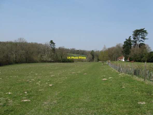 Photo 6"x4" View north on the Vanguards Way towards Stroods Heron's Ghyll c2010