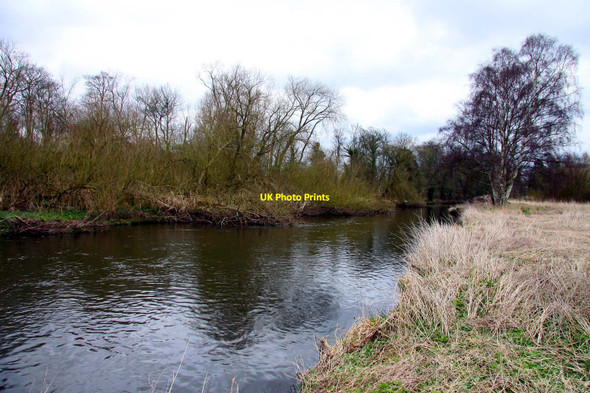 Photo 6"x4" The River Trent downstream from Wolseley Bridge Rugeley c2010