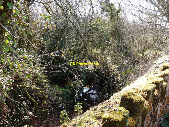 Photo 6"x4" The view upstream from Brimford bridge, the first over the river Torridge Meddon c2010