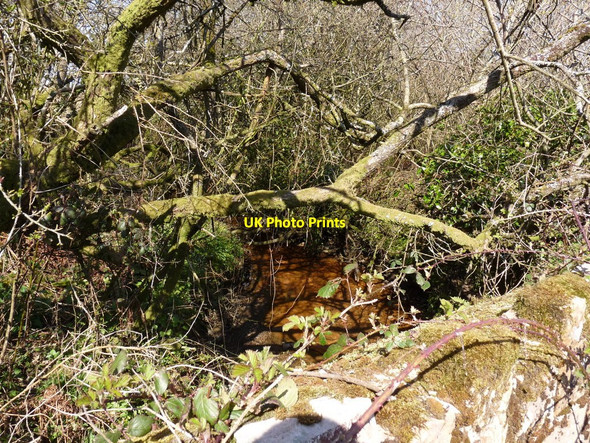 Photo 6"x4" The view downstream from Brimford Bridge, the first bridge over the river Torridge Meddon c2010
