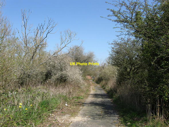 Photo 6"x4" Old Marsh Road Hall's Close c2010