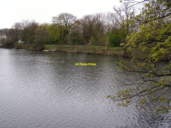 Photo 6"x4" Rhodes Lodges (Eastern) Middleton\/SD8706 c2010