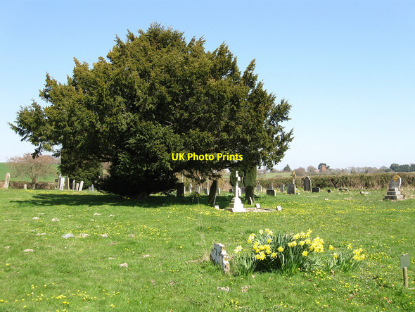 Photo 6"x4" St Oswald's Graveyard Hall's Close c2010