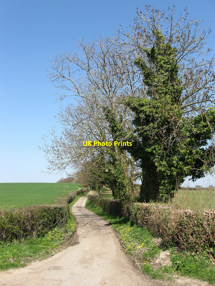 Photo 6"x4" Church Lane Hall's Close c2010