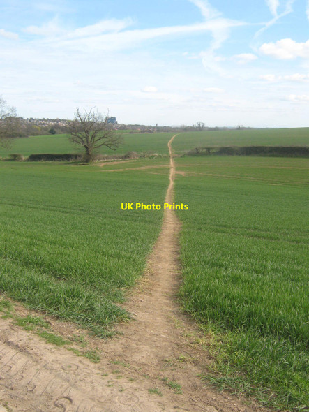 Photo 6"x4" Allestree from near Vicarwood, Kedleston\/Quarndon, Derbyshire Allestree c2010