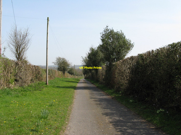 Photo 6"x4" Drive and footpath to Bevingford Five Ash Down c2010