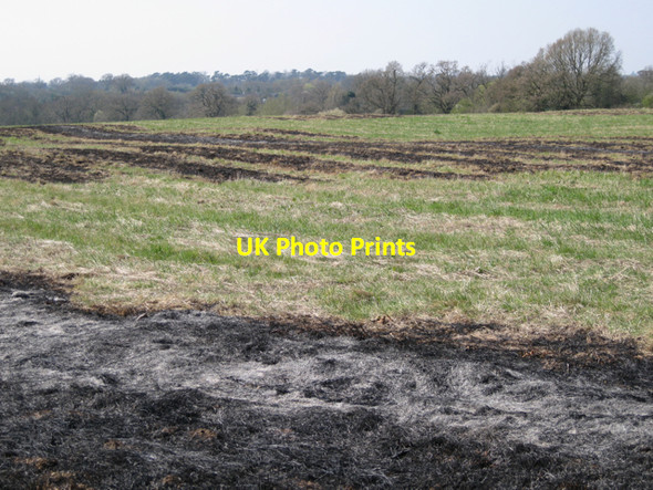 Photo 6"x4" Burnt grassland below Hilltop Close Oldwich Lane c2010