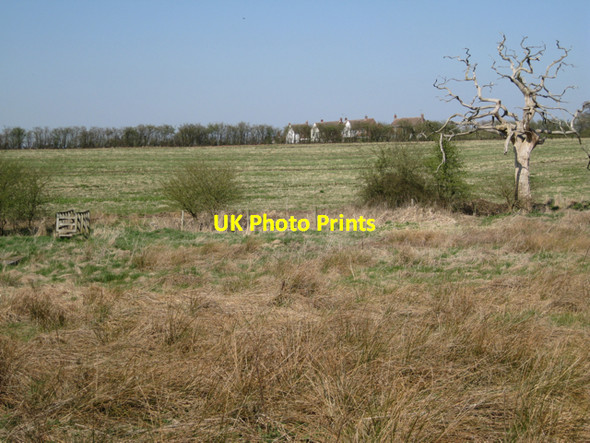Photo 6"x4" Rushy field west of Nunley Farm Oldwich Lane c2010