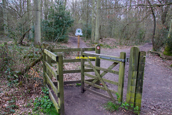 Photo 6"x4" Kissing gate to a footpath at Coombe Hill Wendover c2010