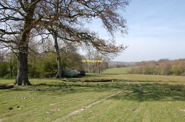 Photo 6"x4" Land near Mountfield Court John's Cross c2010 P1