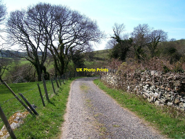 Photo 6"x4" The access road to Eglwys Ynyscynhaearn church Criccieth c2010