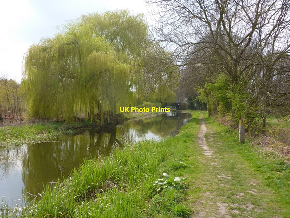 Photo 6"x4" Canal towards bridge 52 Ranby\/SK6580 c2010