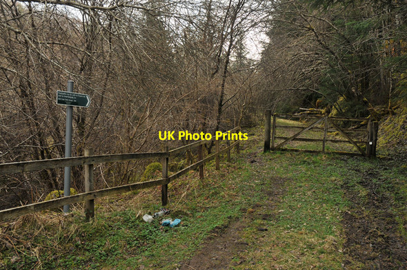 Photo 6"x4" Path to Glen Liath and Foyers Inverfarigaig c2010