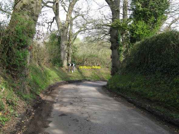 Photo 6"x4" Sharp bend in Coombelands Lane Stopham c2010