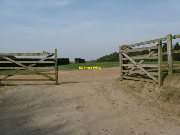 Photo 6"x4" One of several gallops at Coombelands Codmore Hill c2010