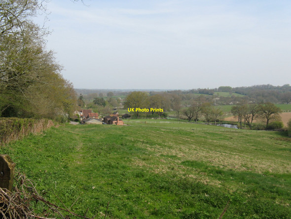 Photo 6"x4" Looking north from the junction of Coombelands Lane and Hill Farm Lane Codmore Hill c2010
