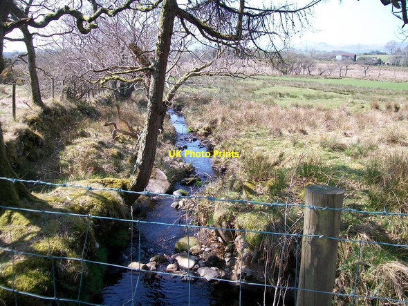 Photo 6"x4" Small stream flowing in a westerly direction towards Afon Dwyfach Criccieth c2010