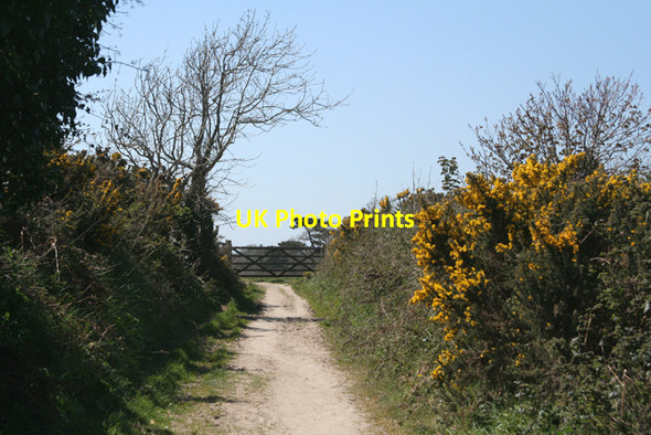 Photo 6"x4" Fowey: footpath to Polridmouth Fowey c2010