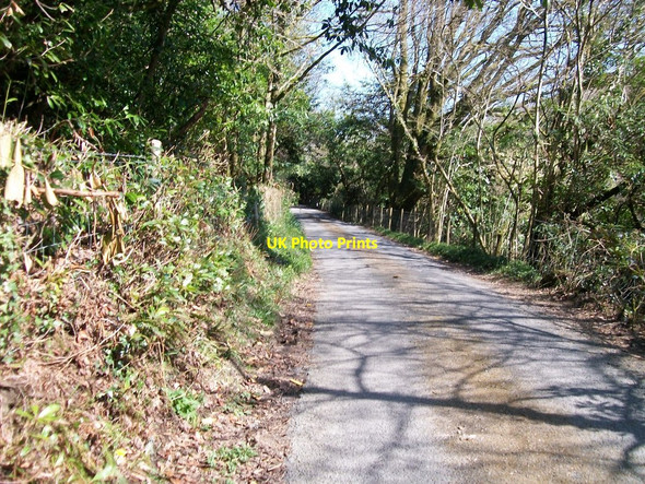 Photo 6"x4" Road through wooded valley between Ymwlch-isaf and Ymwlch Fawr Criccieth c2010